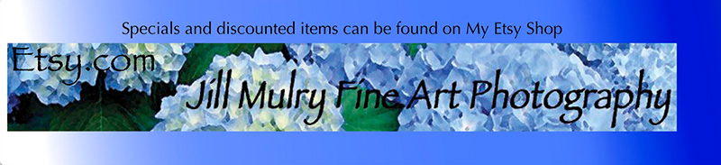 Jill Mulry Fine Art Photography at Etsy.com